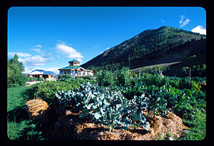 Round Mountain Institute