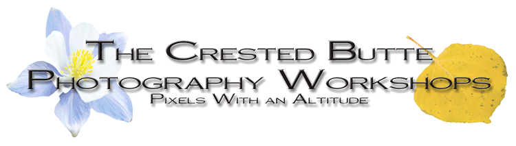 Crested Butte Photography Workshops
