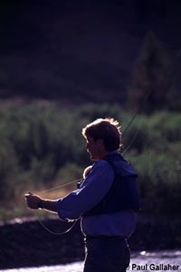 Fly fishing