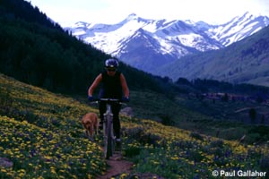 Mountain biker with wildflowers