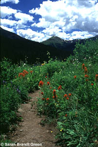 Hiking trail on West Maroon Pass