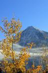 The last of the fall leaves frame new snowfall on Mt. Crested Butte.