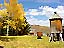 The Aspens’ and Cottonwoods’ brilliant gold leaves adorn yards throughout Crested Butte. Most Aspens in the backcountry and higher elevations are now gone for the season.