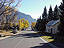 Fall foliage is almost completely gone.  You can still get a glimpse of the beautiful colors on some of the streets here in Crested Butte.