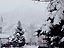 All right! Another snowy morning in Crested Butte. Mt. Crested Butte can barely be seen through the heavy snowfall.