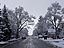 Overnight spring snowfall coats the lawns and trees of town. We’re looking forward to a sunny day today, so this white coat will disappear quickly.