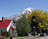 Fall view on Elk Ave.