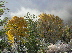 Autumn snowfall covers our town this morning.