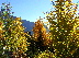 Blue skies and fall colors herald the most beautiful season in Crested Butte.