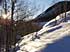 The sun peeks through aspens on a beautiful, frosty morning.