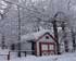 Alley garage surrounded by newly snow covered trees.