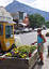 Local flower guru, Anne, keeps Crested Butte looking beautiful.