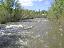 The East River is still at the top of its banks.  This picture is of the East River near the Danni Ranch, about 10 miles south of town.