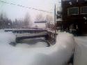 Snow has been falling pretty steadily over the last couple of days - this photo is of Coal Creek, behind our office.