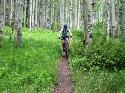 Mountain biking is in full swing, most everything is open and super fun - this picture is on the Dyke Trail.