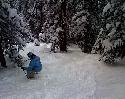 Two feet of snow over the weekend!  Conditions here are incredible.  This shot is coming into Tower 11 glades, right above the Paradise Express Lift.If you are looking for where the snow is in making your spring break vacation plans, you've found it.  Click here to search vacation rentals to see what last minute deals you can grab.