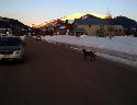 3 weeks left of the lift assisted ski season here in Crested Butte, here Red Lady is catching the first sun of the day.