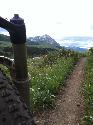 Sweet evening ride on Upper-Lower Loop. Fantastic wildflowers in August? Incredible!