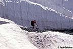 Mountain Biker riding through snow