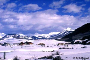 Town Ranch meadow with Paradise divide in background