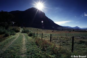 Robinson Parcel road in summer