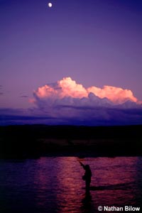 Fly fisherman at sunset