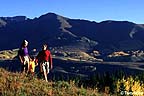 Family hiking in autumn