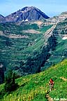 Biking Paradise Divide in summer