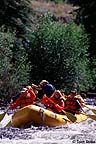 Whitewater rafting