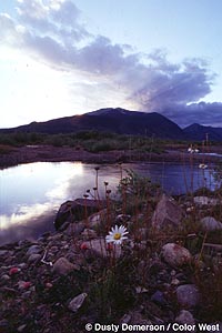 Slate River with Mt. Emmons in background