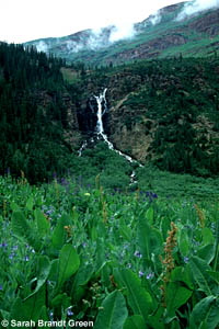 Mountain spring in the Summer