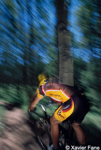 Rushing through the Aspens on Snodgrass