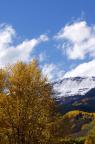 Fall colors in Crested Butte