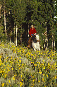 Crested Butte cowgirl