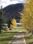 Golden path to the park