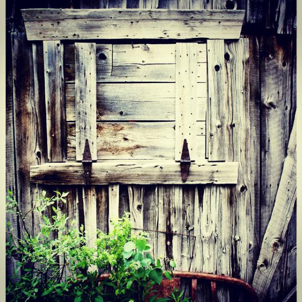 Taking time to relax, checking out Crested Butte,Co.