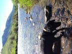 Beautiful day on the East River in Crested Butte, Colorado!