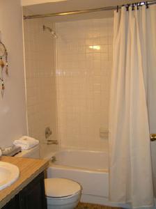 Three Seasons Unit 202<br>Mt. Crested Butte