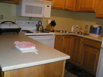 Eagles Nest Condos~Unit 13<br>Mt. Crested Butte