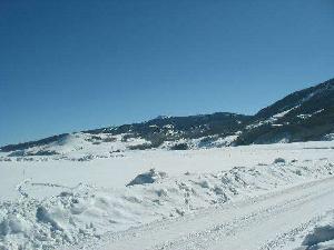 Chestnut Lane<br>Buckhorn Ranch