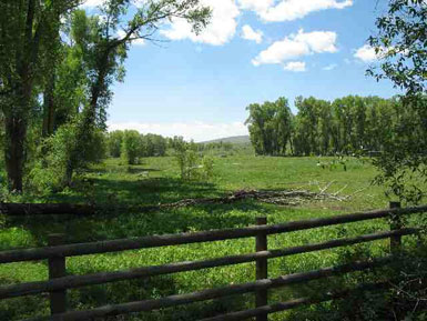 Lot 2 - Danni Ranch<br>Danni Ranch