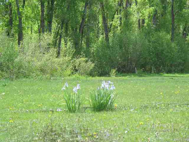 Lot 2 - Danni Ranch<br>Danni Ranch