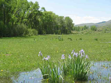 Lot 2 - Danni Ranch<br>Danni Ranch