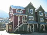 418 Horseshoe<br>Mt. Crested Butte