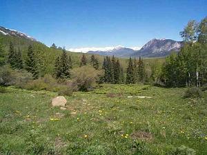 Lot 12 Red Mountain Ranch<br>Red Mountain Ranch