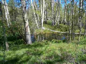 Lot 12 Red Mountain Ranch<br>Red Mountain Ranch