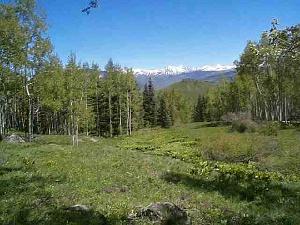 Lot 12 Red Mountain Ranch<br>Red Mountain Ranch