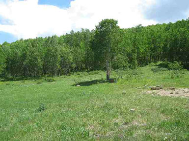 Star Mtn Ranch lot<br>Red Mountain Ranch