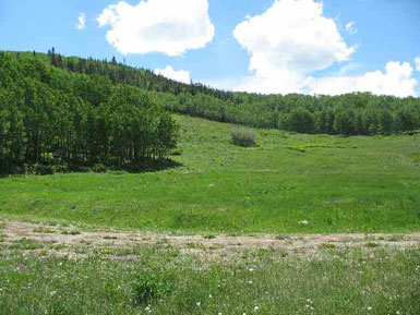 Star Mtn Ranch lot<br>Red Mountain Ranch
