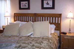 103 Chateaux<br>Mt. Crested Butte